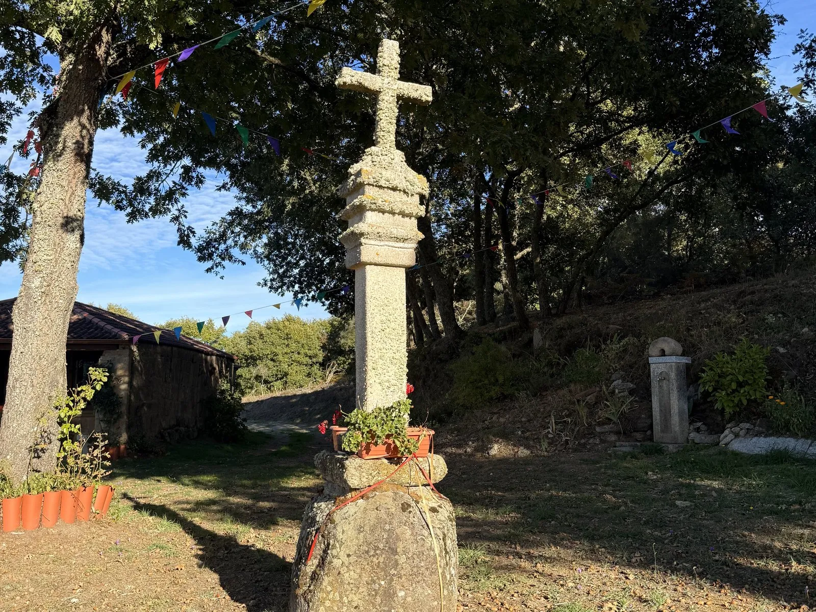 O cruceiro hoxe, xunto á capela das Fontelas: cruz de pedra con liques baixo un carballo, sobre unha base de rocha, coas bandeiriñas da festa