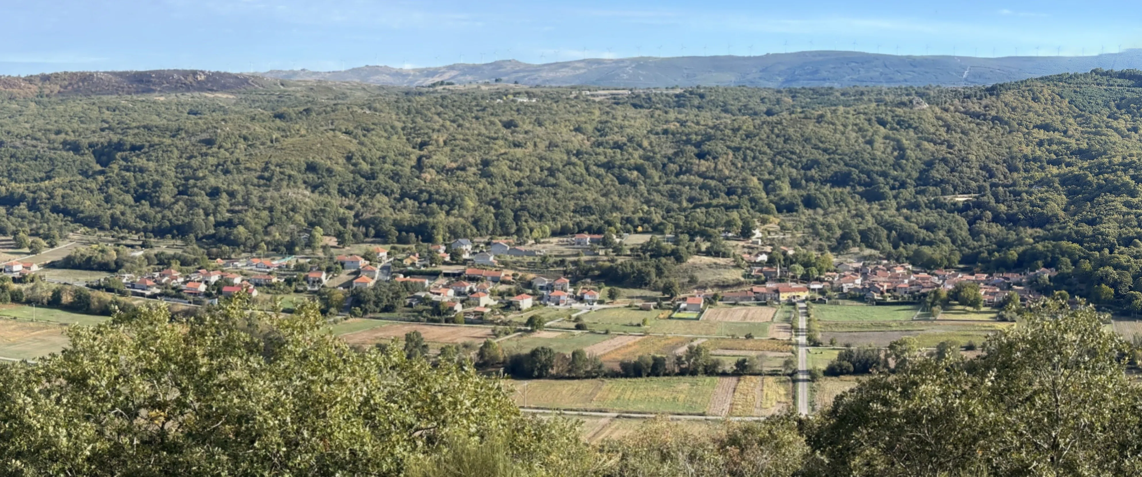 Vista de Nocedo: casas no medio do val, leiras verdes diante e monte detrás